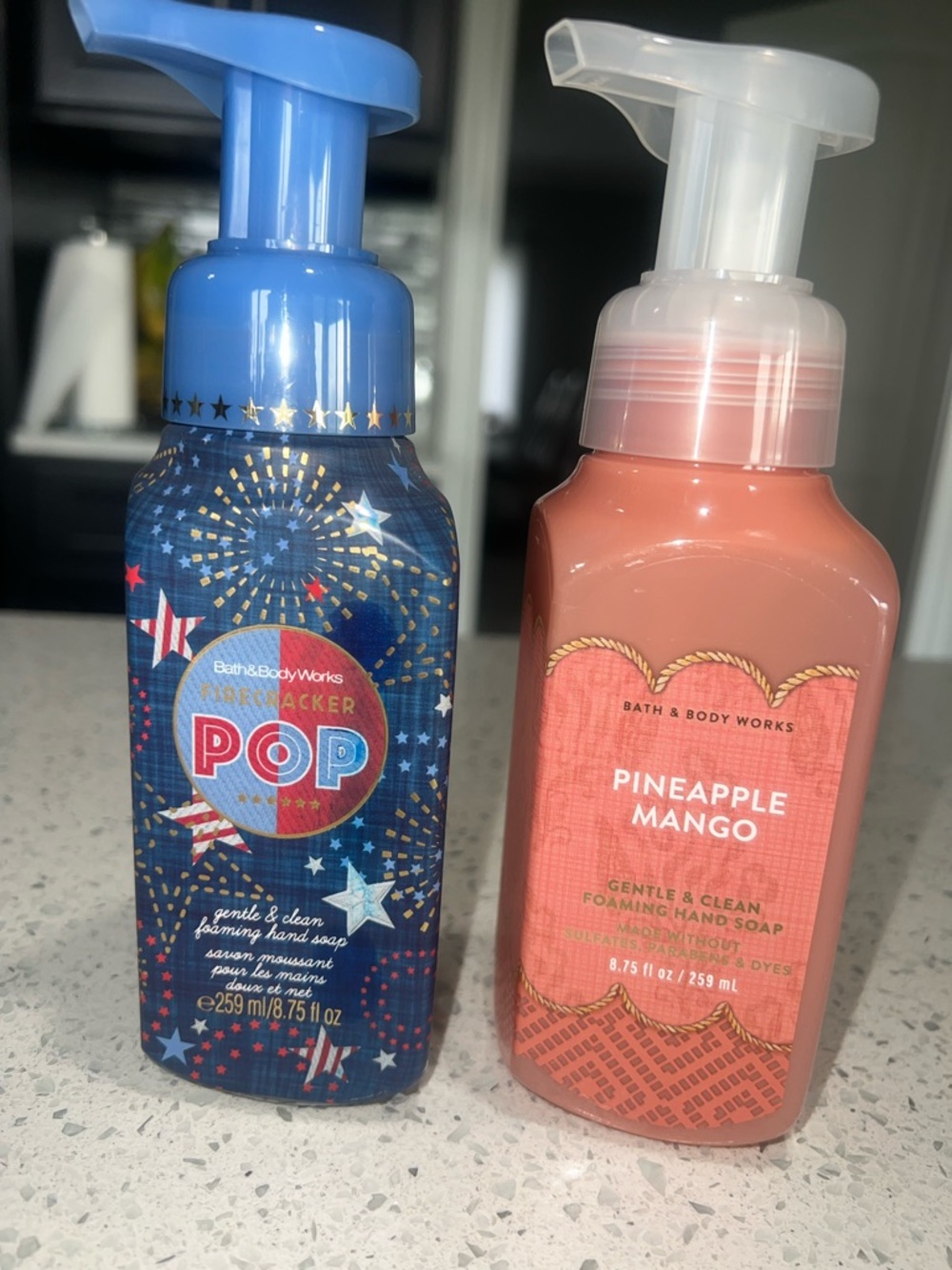 Bath & Body Works Foaming Hand Soap Duo